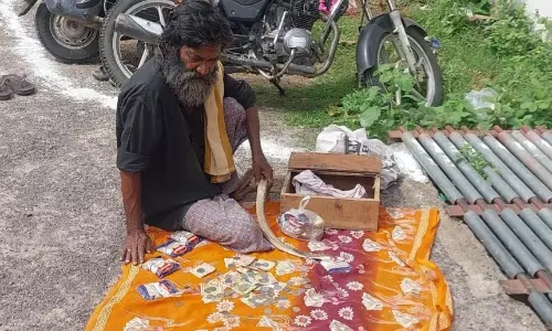 Naga Panchami: 2 Snake Charmers Held, 2 Cobras Rescued in Karimnagar