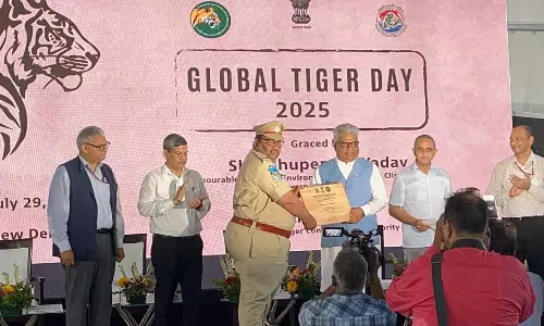 Tiger Conservation Efforts Mark International Tiger Day in Hyderabad