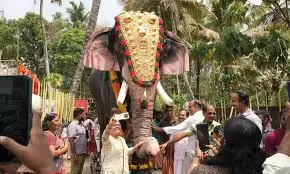 Elephant Herd Stalls Tirumala Pilgrims Near Srivari Mettu