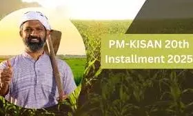 PM To Release 20th Installment Of PM-Kisan Samman Nidhi On Aug. 2 PM To Release 20th Installment Of PM-Kisan Samman Nidhi On Aug. 2