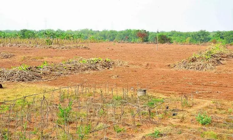 1 Acre KPHB Phase IV Plot Fetches Rs. 65.34 Crore in e-Auction