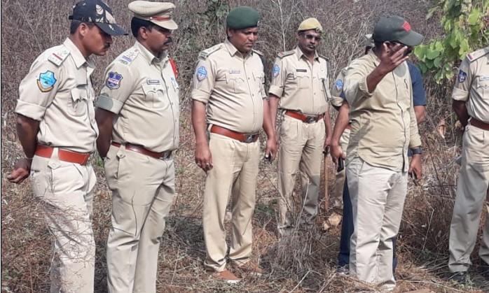 Adilabad Officials Seek Authority to Curb Illegal Forest Activities