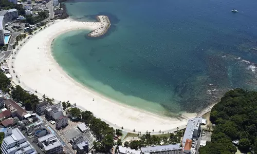 Powerful Waves Hit Russian Islands, Japan after 8.8-Magnitude Earthquake