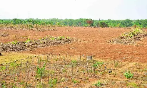 1 Acre KPHB Phase IV Plot Fetches Rs. 65.34 Crore in e-Auction