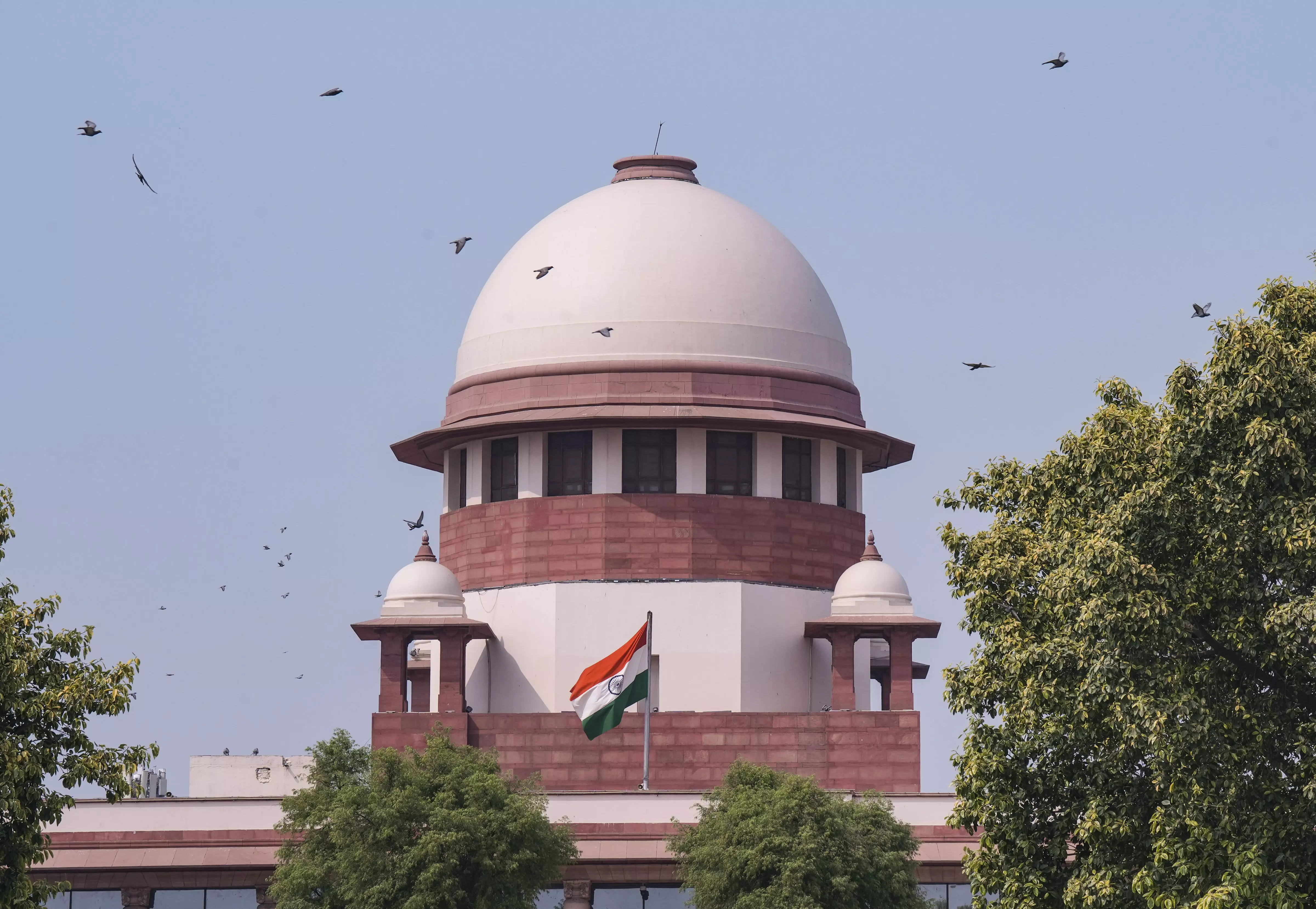 Decide on BRS MLAs In 3 Months: SC Decide on BRS MLAs In 3 Months: SC