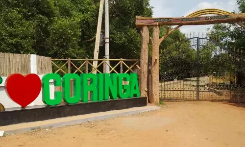 3 Fishing Cats Fixed With Radio Collars In Coringa Wildlife Sanctuary