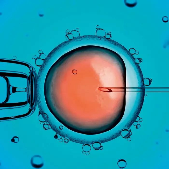 Couples Unaware Of Telangana’s ART Clinics Couples Unaware Of Telangana’s ART Clinics