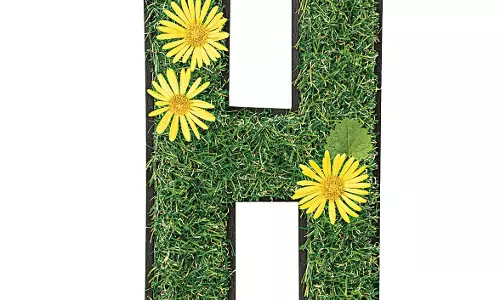 Powered by Hydrogen, Driven by Green Spirit