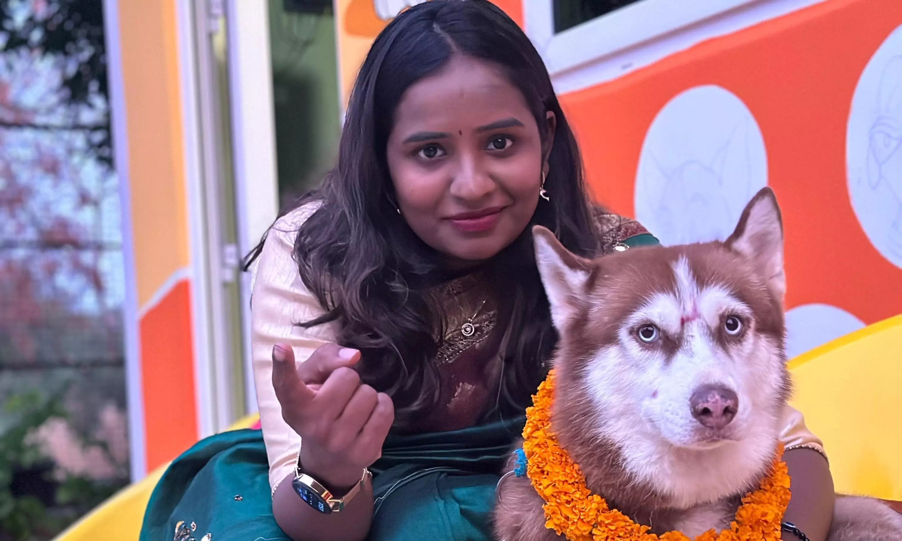 Vets Flag Rising Pet Obesity