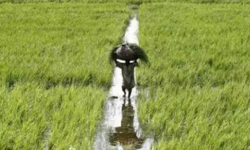 NAPA Demands Punjab Government to Retract Land Pooling Scheme