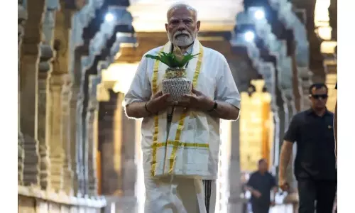 JUST SPAMMING | A Mad Scramble For Political Crumbs