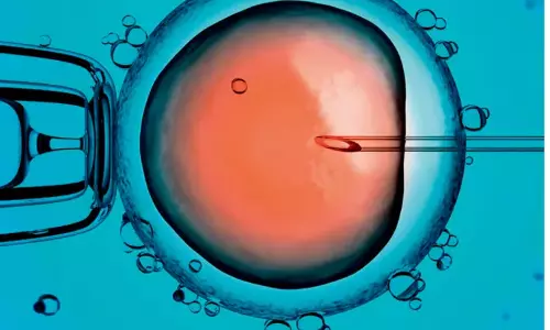 Telangana Launches State-Wide Crackdown On Fertility Clinics After Fraud Telangana Launches State-Wide Crackdown On Fertility Clinics After Fraud