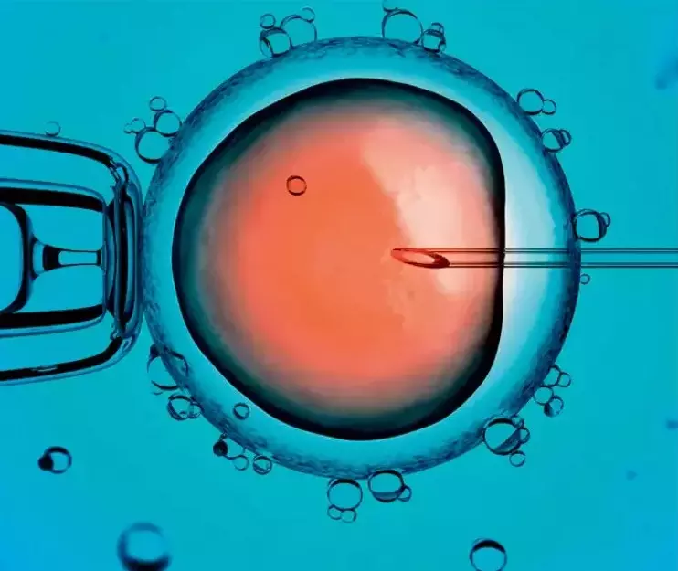 Health Authorities Check Fertility Centres In AP Health Authorities Check Fertility Centres In AP