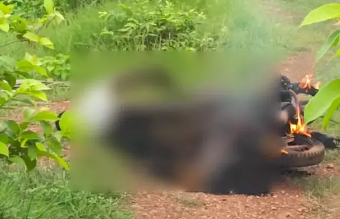 Man Burnt to Death After Bike Comes in Contact with High-Tension Wires in Bhadradri Kothagudem