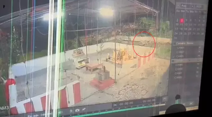 Leopard Spotted Near Bala Gangamma Temple in Tirumala