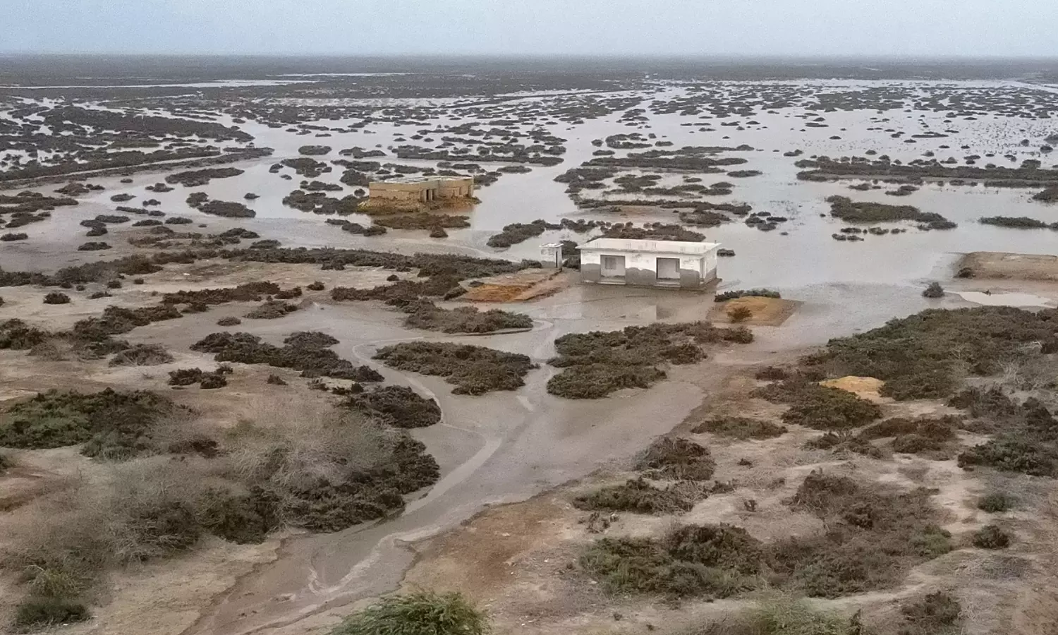 Dying Delta: Indus River Sinks, Shrinks in Pakistan