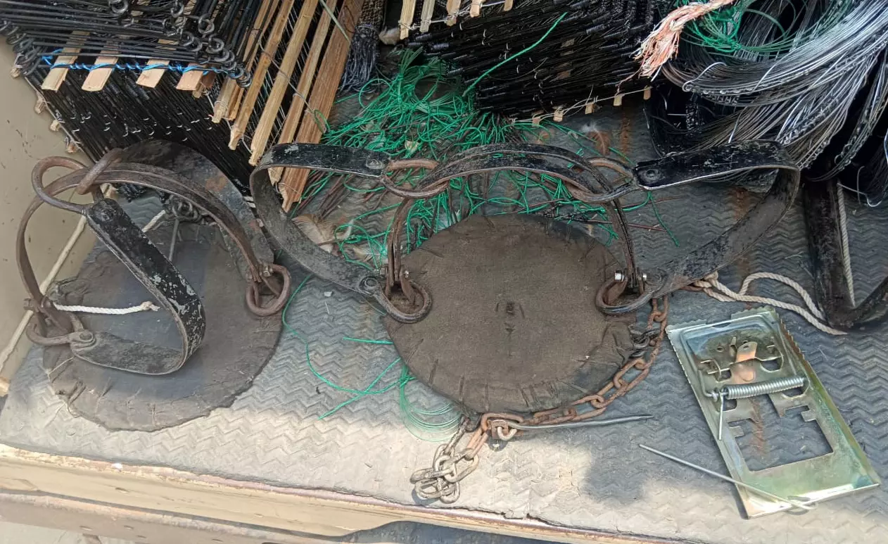 Foresters Take Up Anti-Snare Operation to Protect Wild Animals in Tiger Reserve