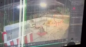 Leopard Sighted Near Bala Gangamma Temple In Tirumala, Forest Officials Intensify Vigilance