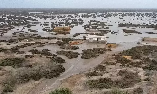 Dying Delta: Indus River Sinks, Shrinks in Pakistan