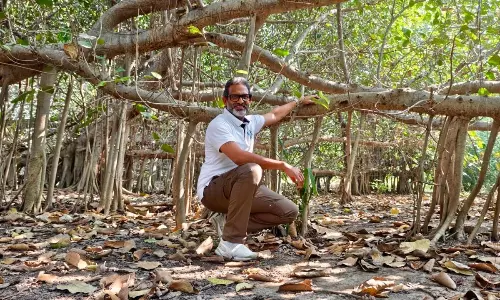 Man Who Talks to Trees