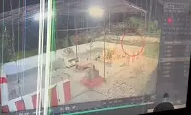 Leopard Sighted Near Bala Gangamma Temple In Tirumala, Forest Officials Intensify Vigilance