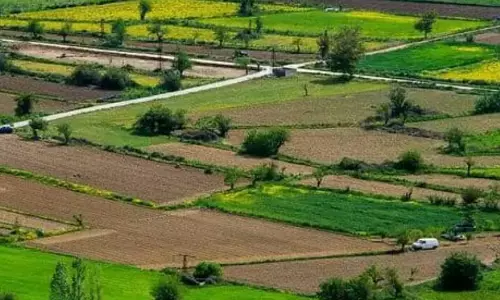 Rajiv Swagruha Auction Fetches Rs.46,500 Per Yard