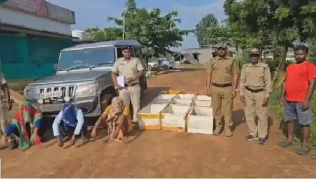 Over 1,000 Turtles Rescued in Malkangiri, 3 Arrested