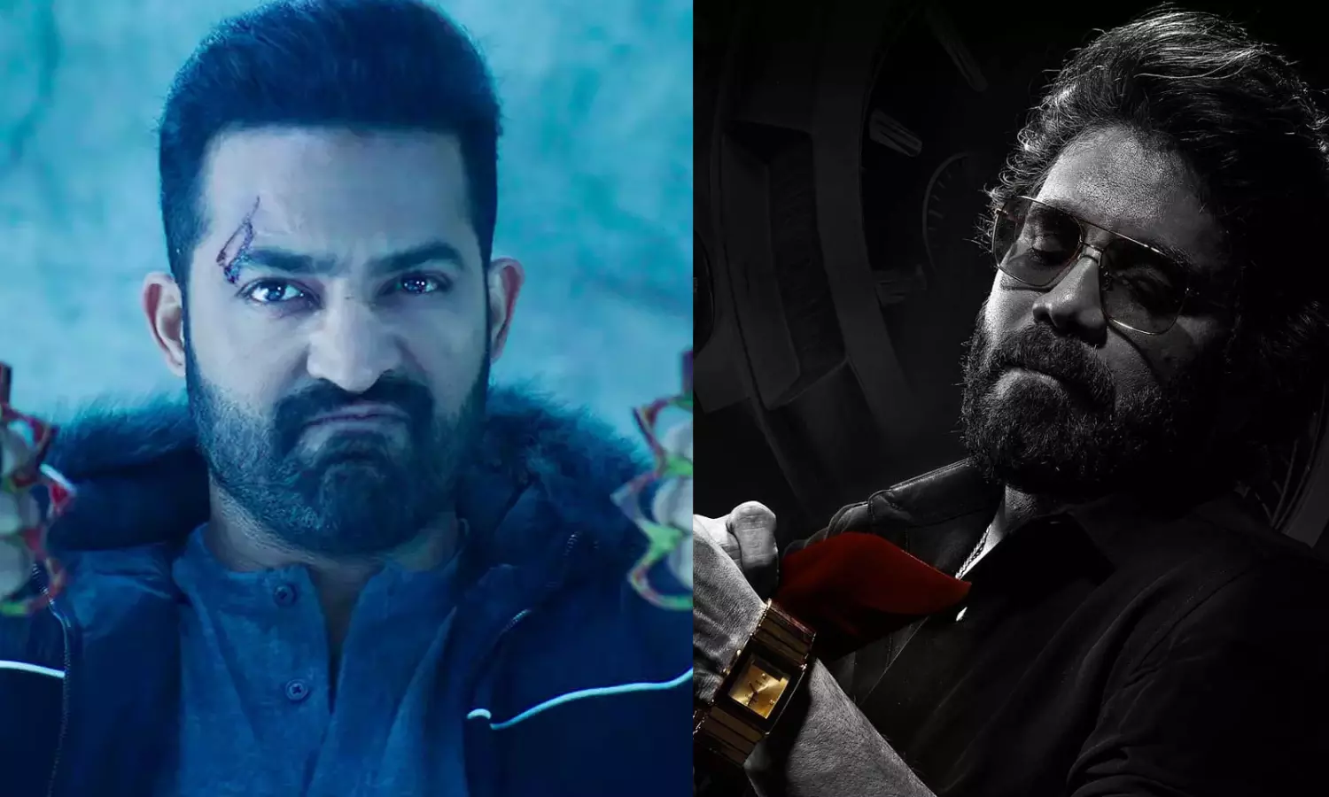 Fans Not Happy With Telugu Stars Turning Villains? Jr NTRs Role in War 2 Gets Mixed Reactions