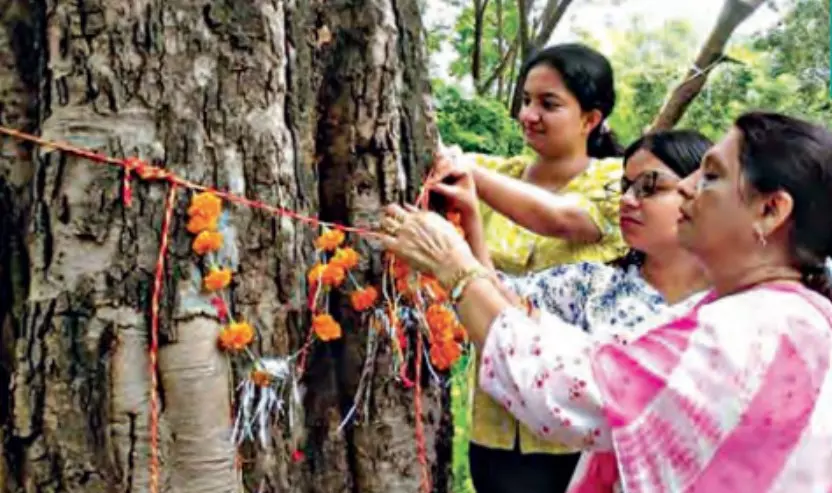 Siblings Root For Green Rakhi Ties