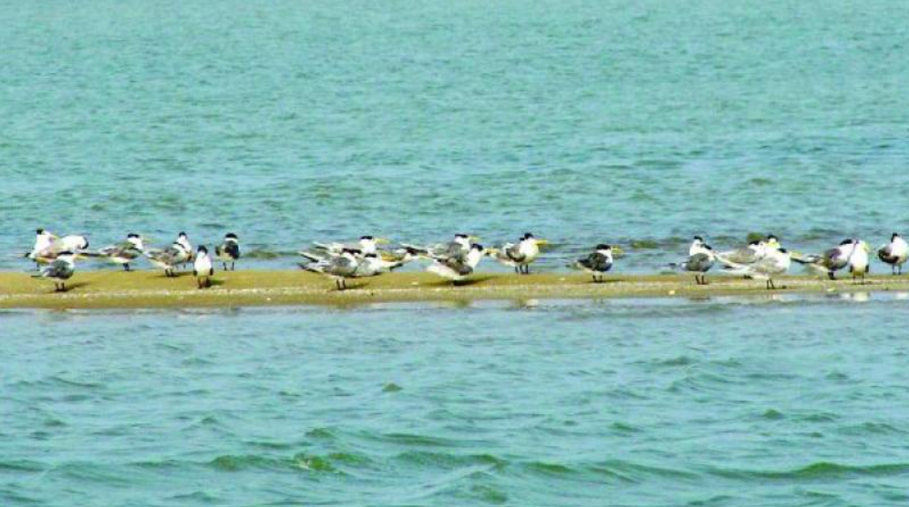 Irakam Island to Become Eco-Tourism Hub, Boosting Community