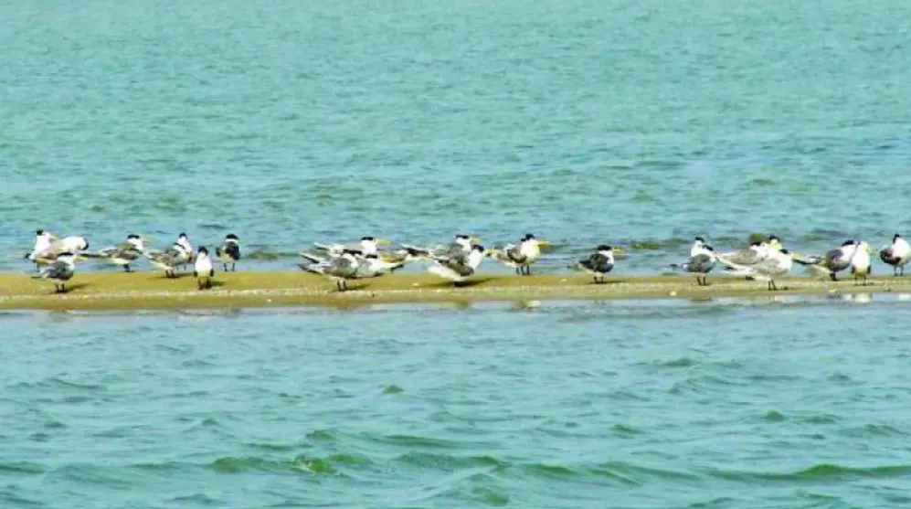 Irakam Island To Turn Into Eco-Tourism Spot Irakam Island To Turn Into Eco-Tourism Spot