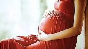 HC Refuses Twin Pregnancy Termination