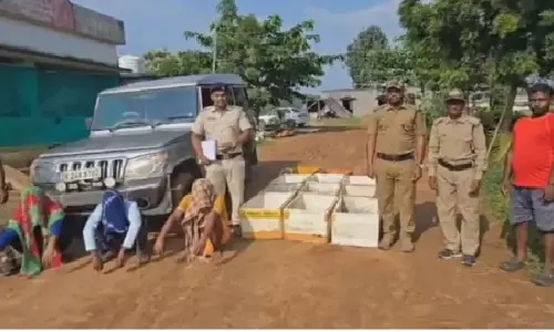 Over 1,000 Turtles Rescued in Malkangiri, 3 Arrested