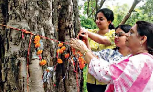 Siblings Root For Green Rakhi Ties Siblings Root For Green Rakhi Ties