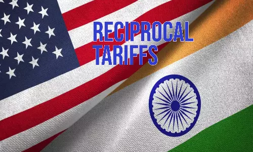 IES, Lower Duties on Raw Materials Will Plug Tariff Gap