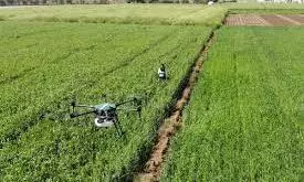 Drone Women Change Farm Scenario In Ex-Kurnool Districts
