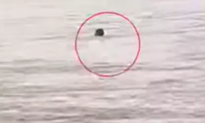 Fishermen Save Man From Raging Stream In NTR District Fishermen Save Man From Raging Stream In NTR District