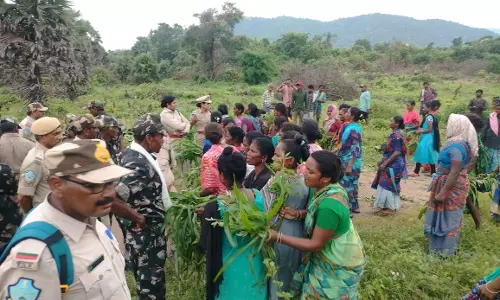 Villagers Allege Social Boycott for Opposing Sarpanch Post Auction