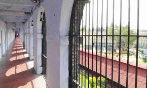 Visakhapatnam Central Jail Trains Inmates in Agriculture