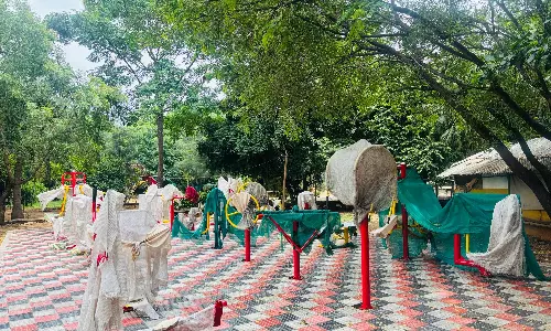 Public Garden To Get Open Gym