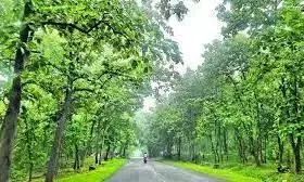 35 Villagers Booked For Encroaching Kawal Forest Land