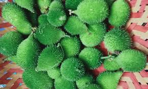 Teasel Gourd Prices Soar, Bringing Cheer to Andhra Farmers