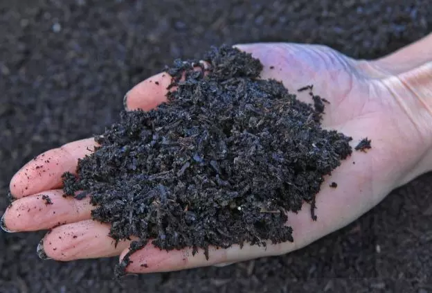 Hyd Start-Up Sow&Reap Earns Carbon Credits For Sustainable Paddy Cultivation