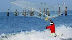 AP Aqua Farmers In Dilemma Over New Crop