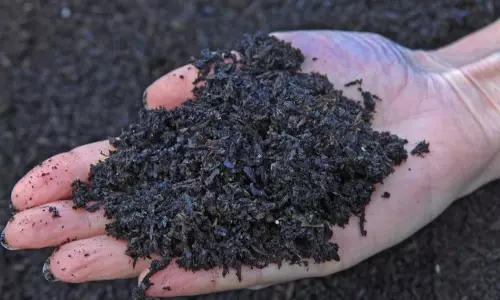 Hyd Start-Up Sow&Reap Earns Carbon Credits For Sustainable Paddy Cultivation