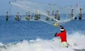 AP Aqua Farmers In Dilemma Over New Crop