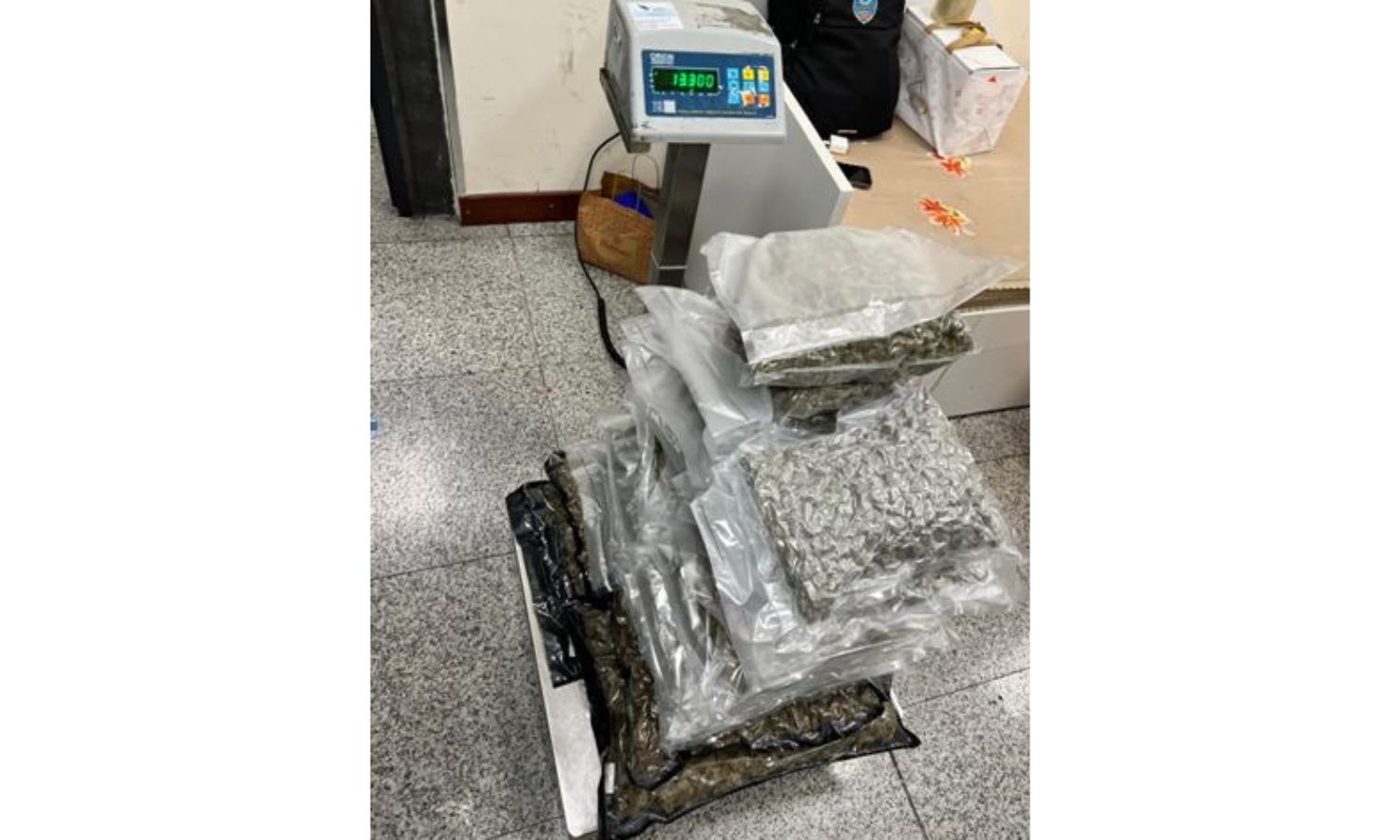 Mumbai Airport: Three Held for Drugs and Exotic Animal Smuggling