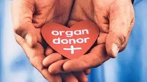 The Gift Of Life Through A Culture Of Organ Donation