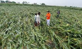 Heavy Rains Bring Relief, Spur Crop Hopes and Concerns