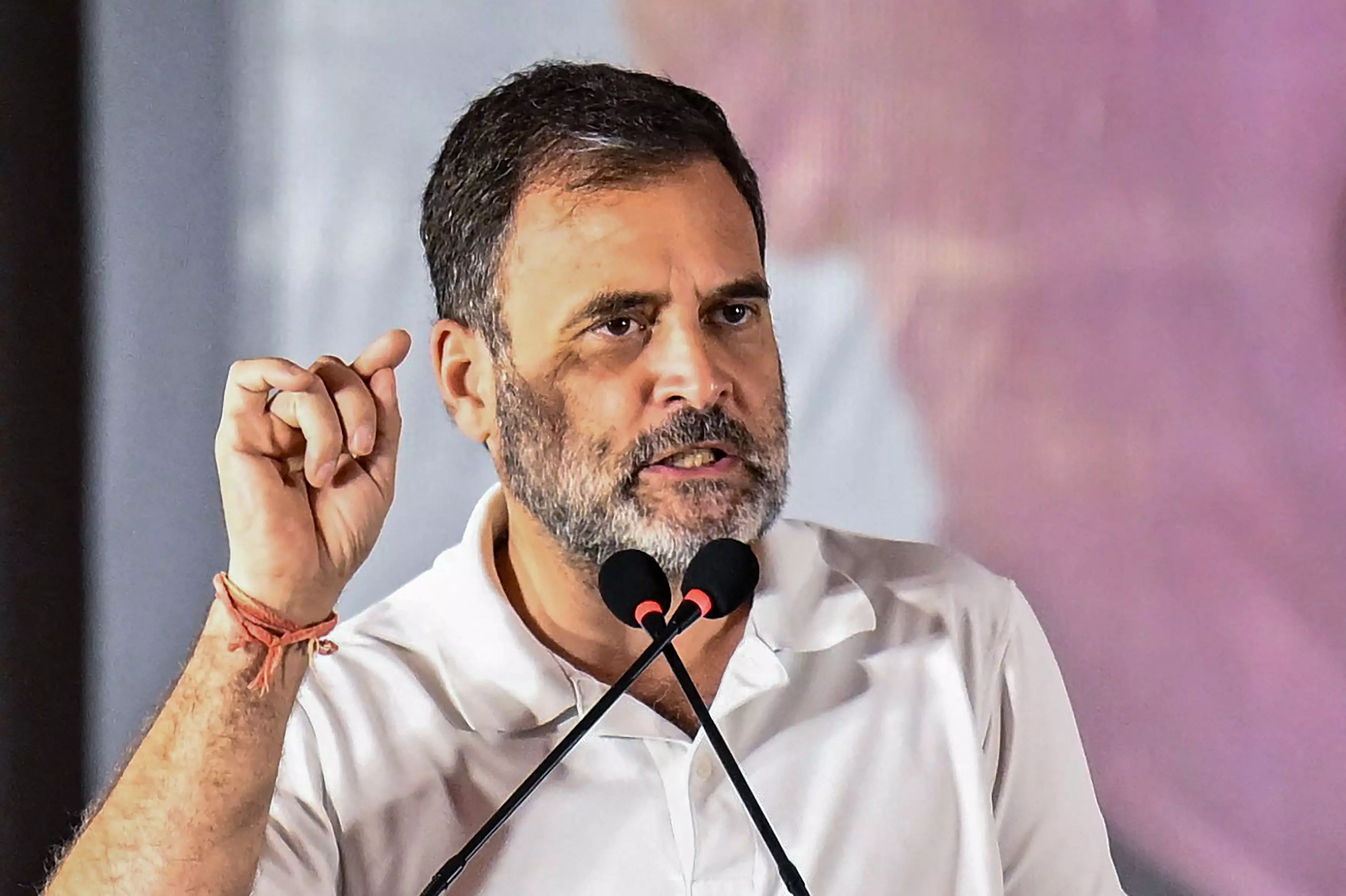 Dog Lovers Hark At SC Orders